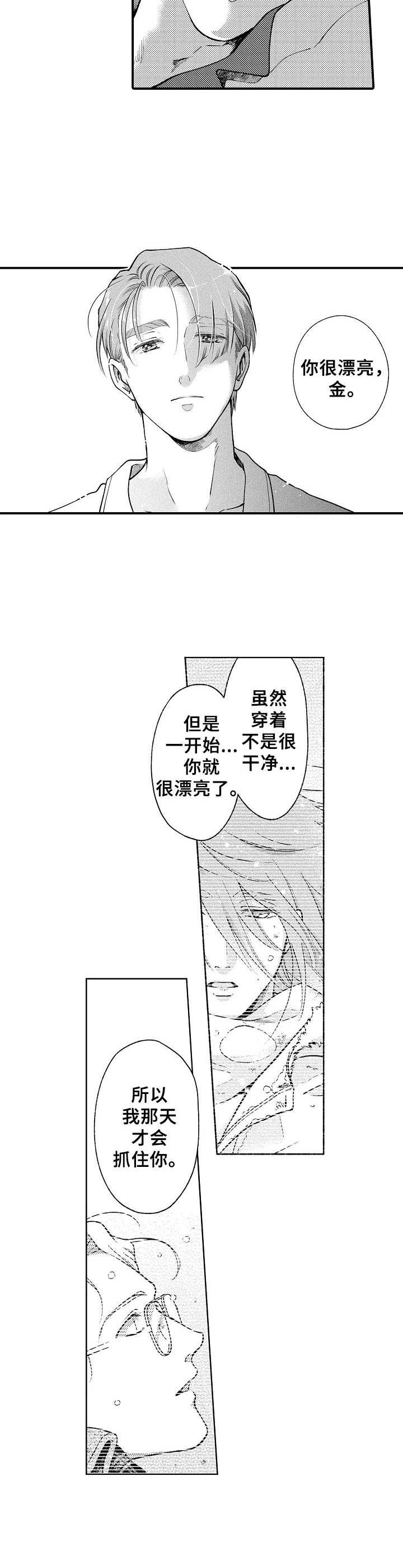 《聪明的金先生》漫画最新章节第26章：心意免费下拉式在线观看章节第【10】张图片