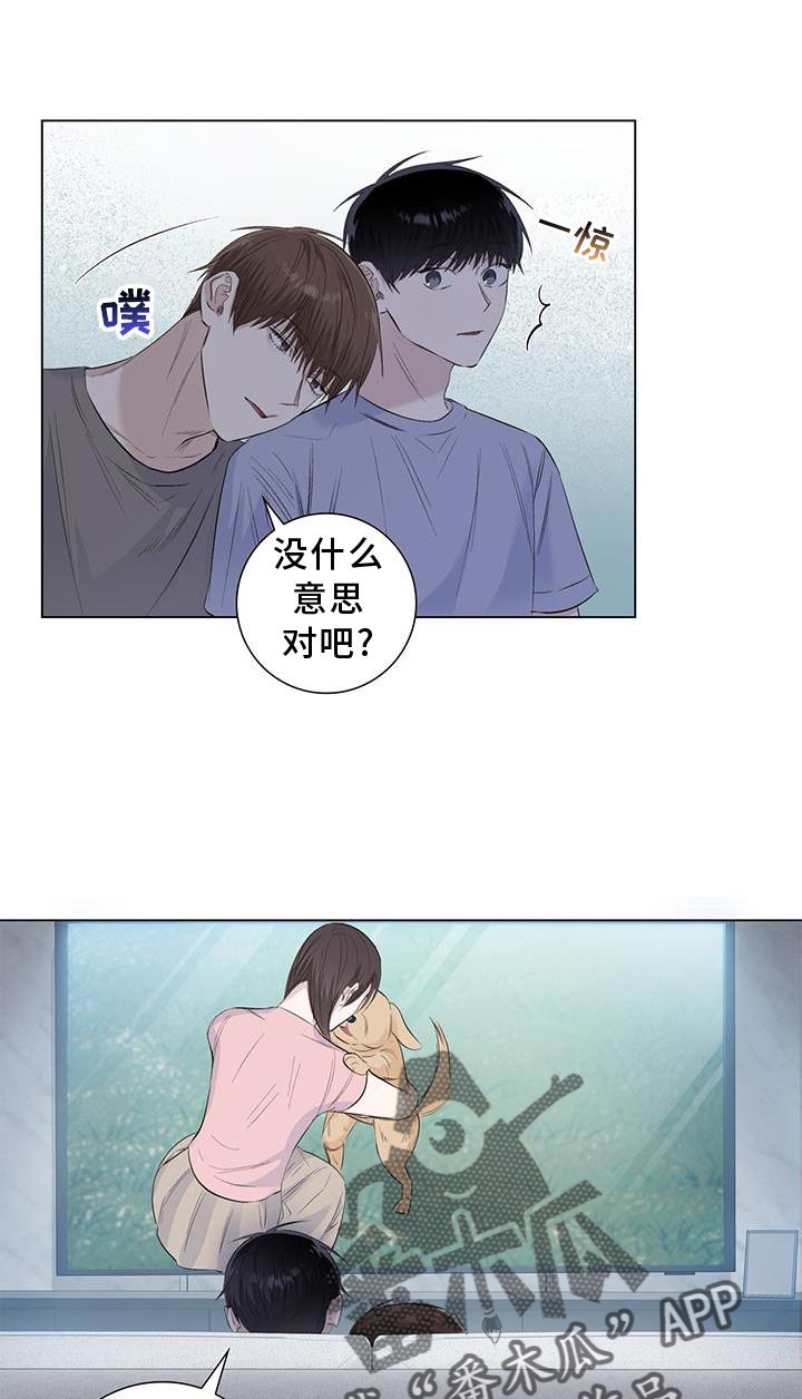 耀眼的光环-第67章：接吻全彩韩漫标签