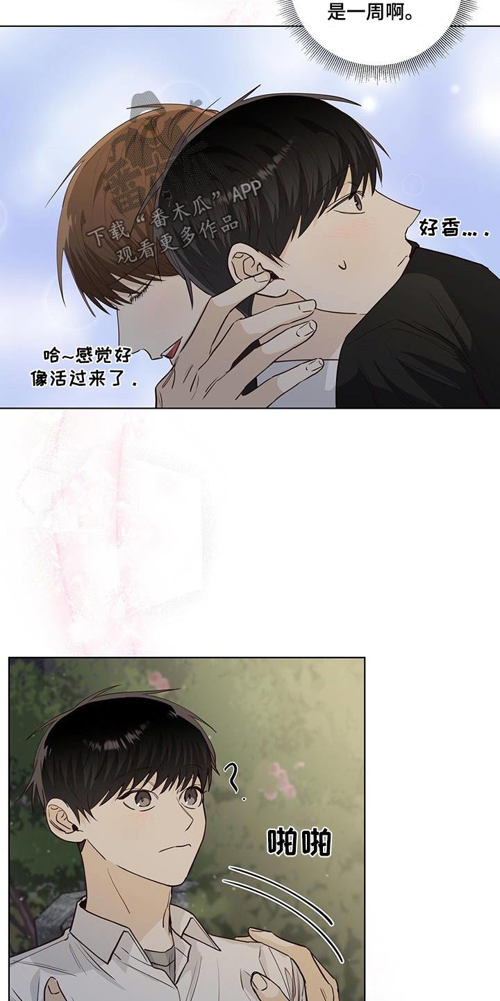 《耀眼的光环》漫画最新章节第93章：解散的事免费下拉式在线观看章节第【20】张图片