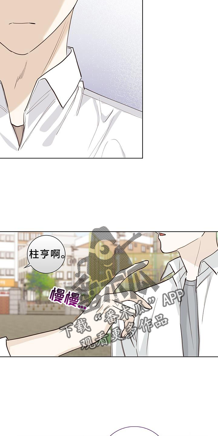 《耀眼的光环》漫画最新章节第95章：事实免费下拉式在线观看章节第【13】张图片