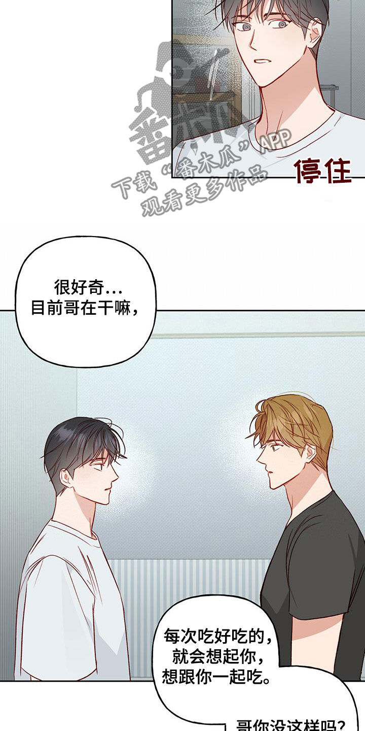 《兜帽陷阱》漫画最新章节第41章：一定要得到免费下拉式在线观看章节第【13】张图片