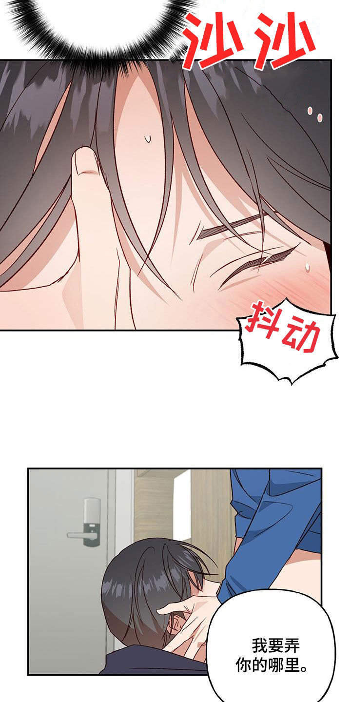 《兜帽陷阱》漫画最新章节第78章：【第二季】我疯了免费下拉式在线观看章节第【3】张图片