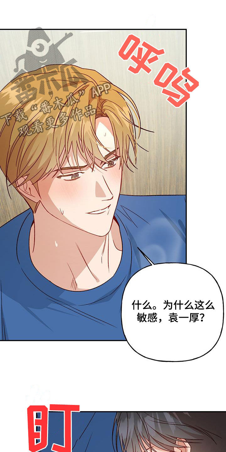 《兜帽陷阱》漫画最新章节第78章：【第二季】我疯了免费下拉式在线观看章节第【16】张图片