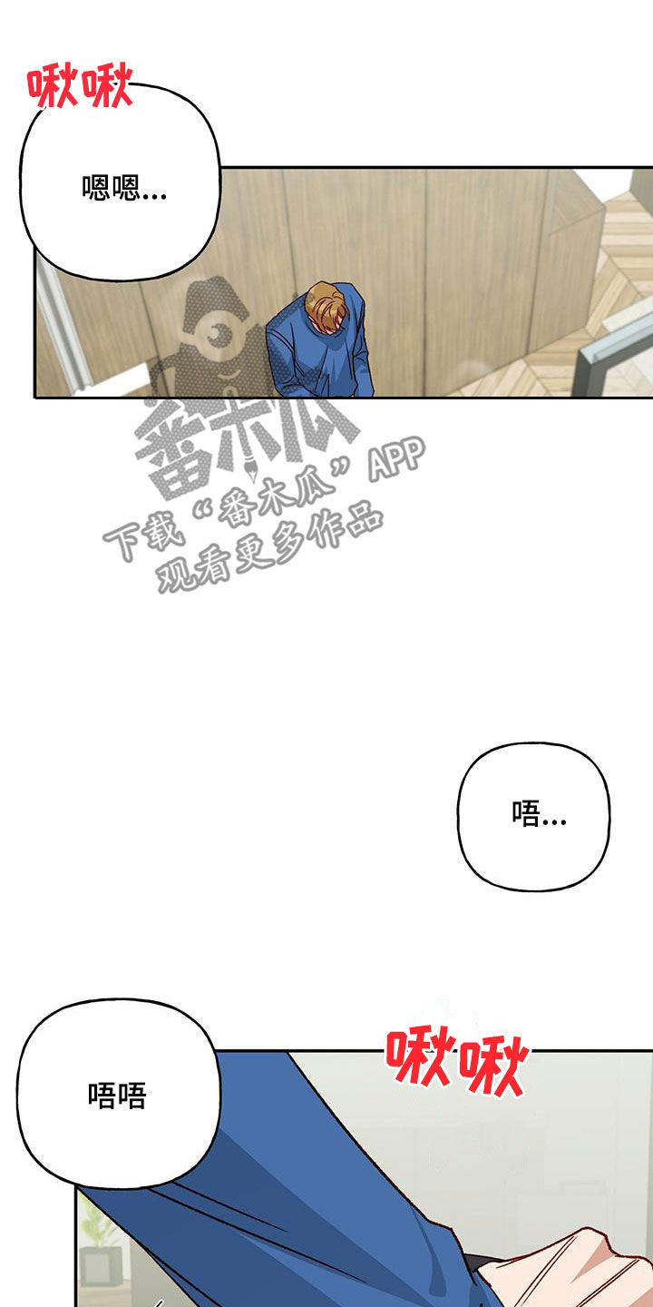 《兜帽陷阱》漫画最新章节第78章：【第二季】我疯了免费下拉式在线观看章节第【10】张图片