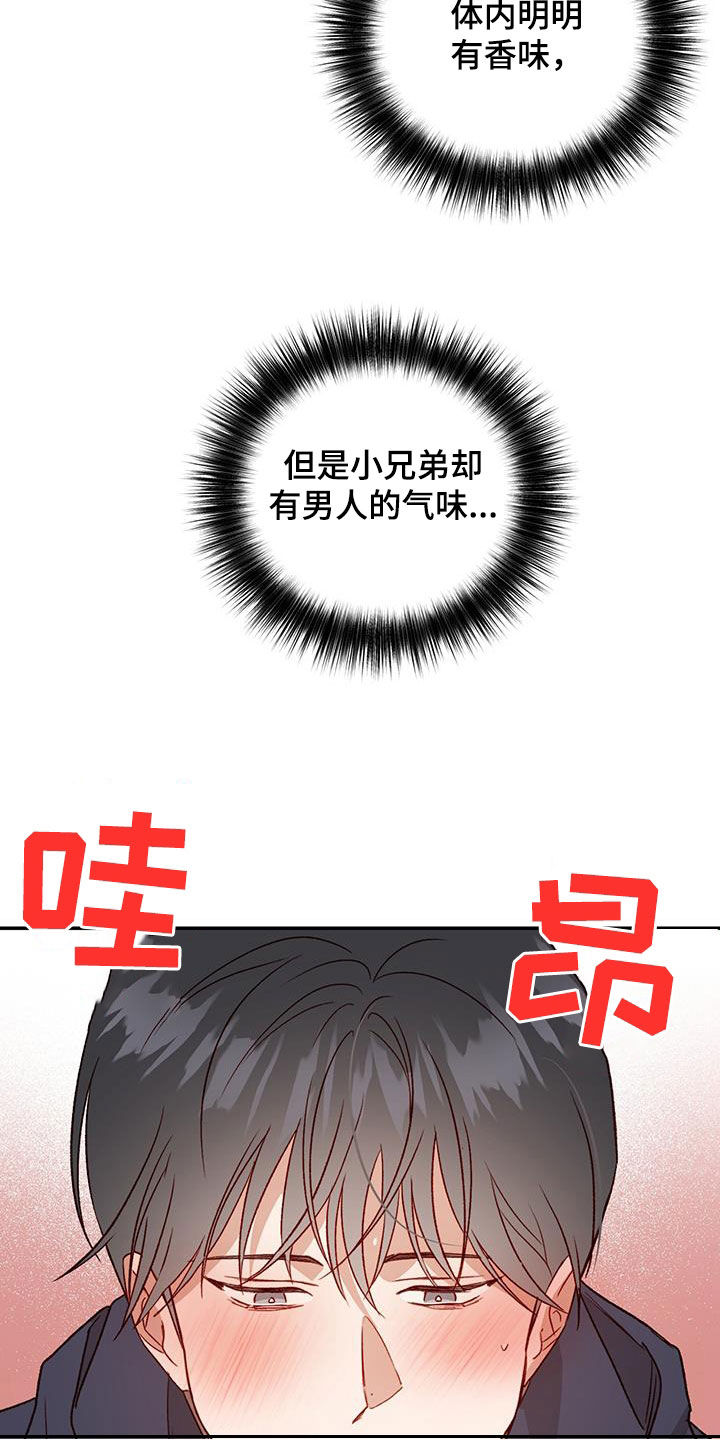 《兜帽陷阱》漫画最新章节第78章：【第二季】我疯了免费下拉式在线观看章节第【13】张图片