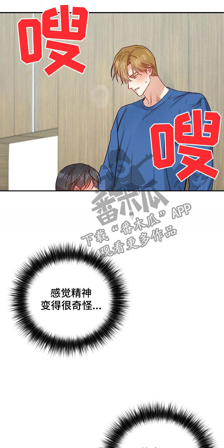 《兜帽陷阱》漫画最新章节第78章：【第二季】我疯了免费下拉式在线观看章节第【14】张图片