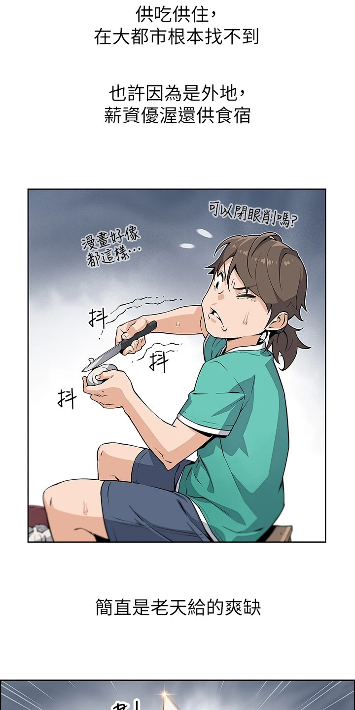 《被迫返乡记》漫画最新章节第1章：老板娘免费下拉式在线观看章节第【18】张图片