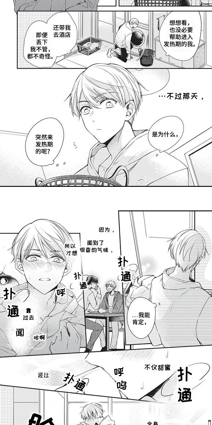 《结婚规则》漫画最新章节第2章：气味免费下拉式在线观看章节第【5】张图片