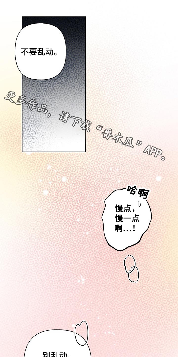 《遗失的物品》漫画最新章节第40章：执着免费下拉式在线观看章节第【17】张图片