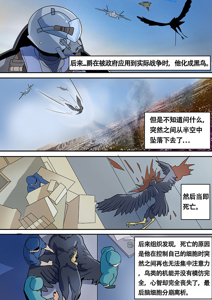 《黑鸟计划》漫画最新章节第10章：免费下拉式在线观看章节第【3】张图片