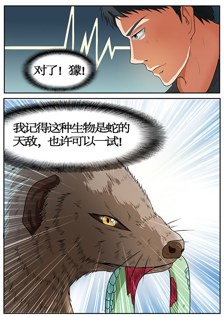 《黑鸟计划》漫画最新章节第49章：免费下拉式在线观看章节第【4】张图片