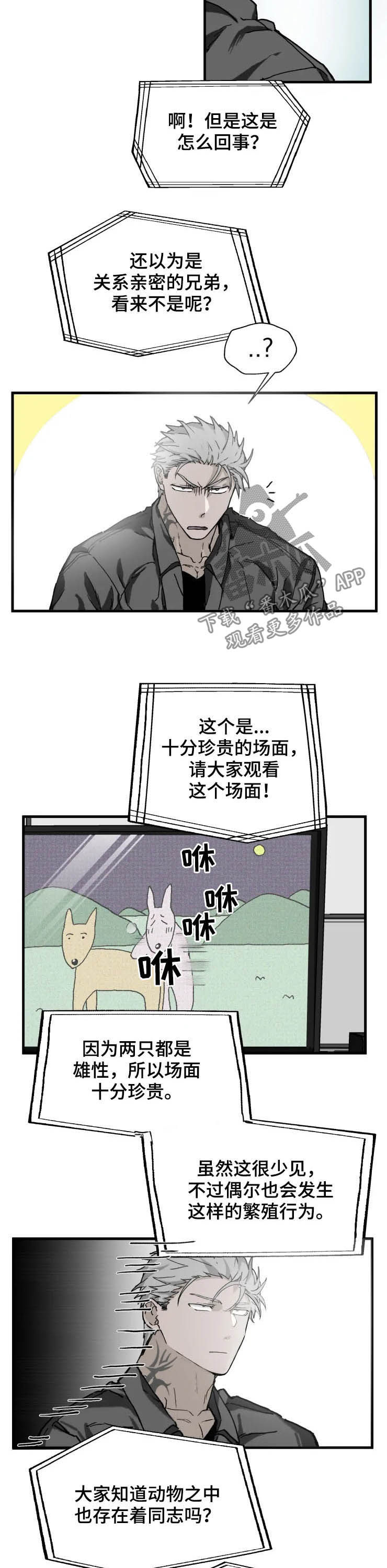 《极道之交》漫画最新章节第14章：厌烦免费下拉式在线观看章节第【8】张图片