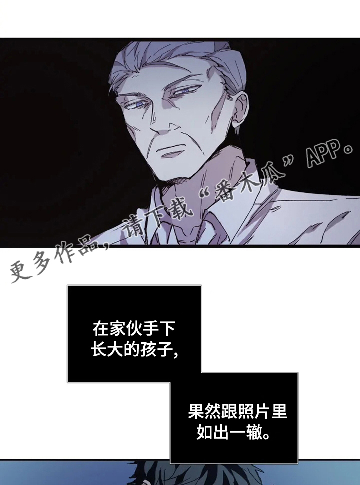 《极道之交》漫画最新章节第17章：做点别的免费下拉式在线观看章节第【10】张图片