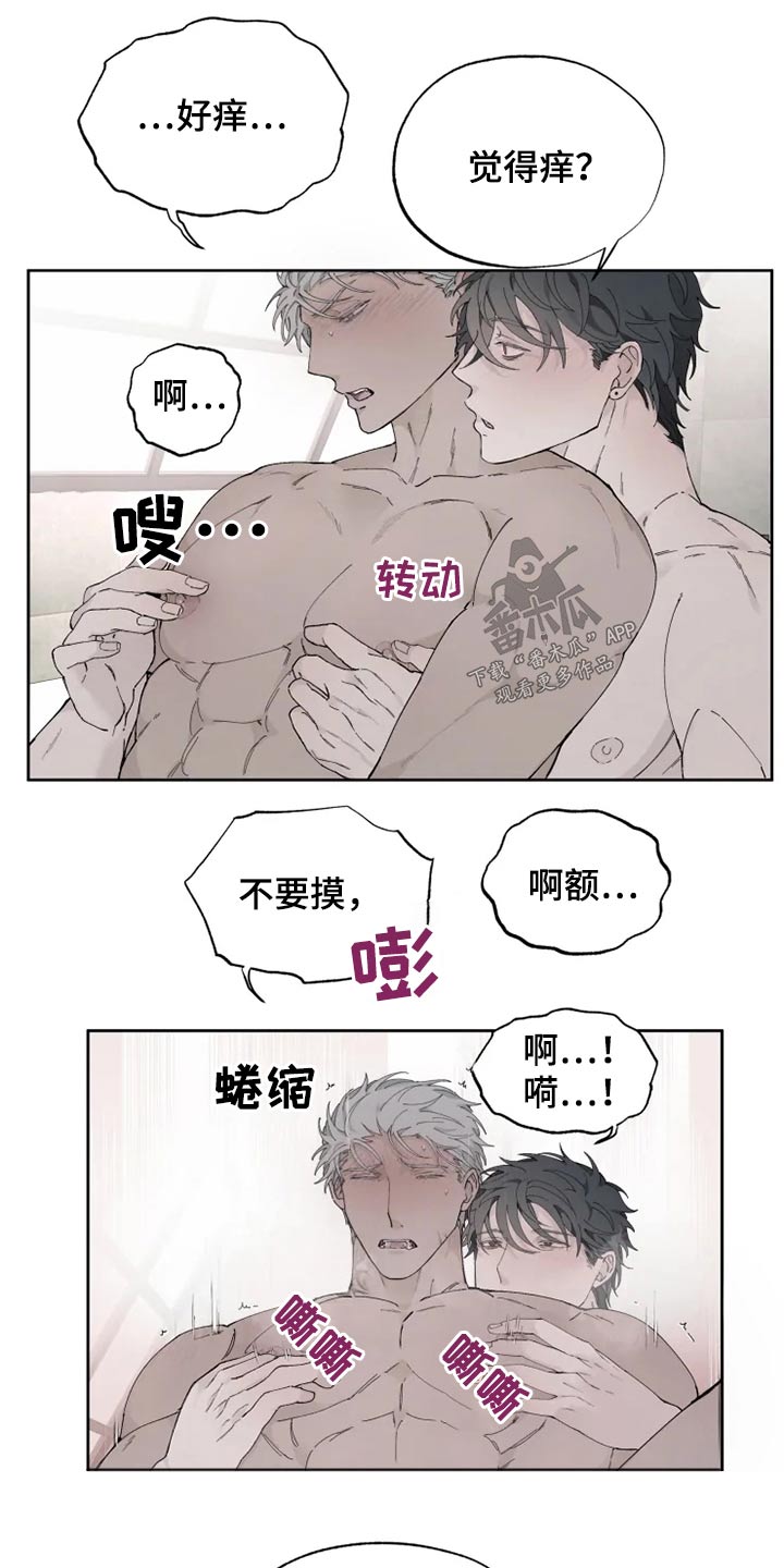 《极道之交》漫画最新章节第33章：舒畅免费下拉式在线观看章节第【4】张图片