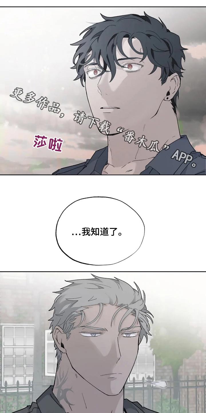 《极道之交》漫画最新章节第39章：那是什么免费下拉式在线观看章节第【20】张图片