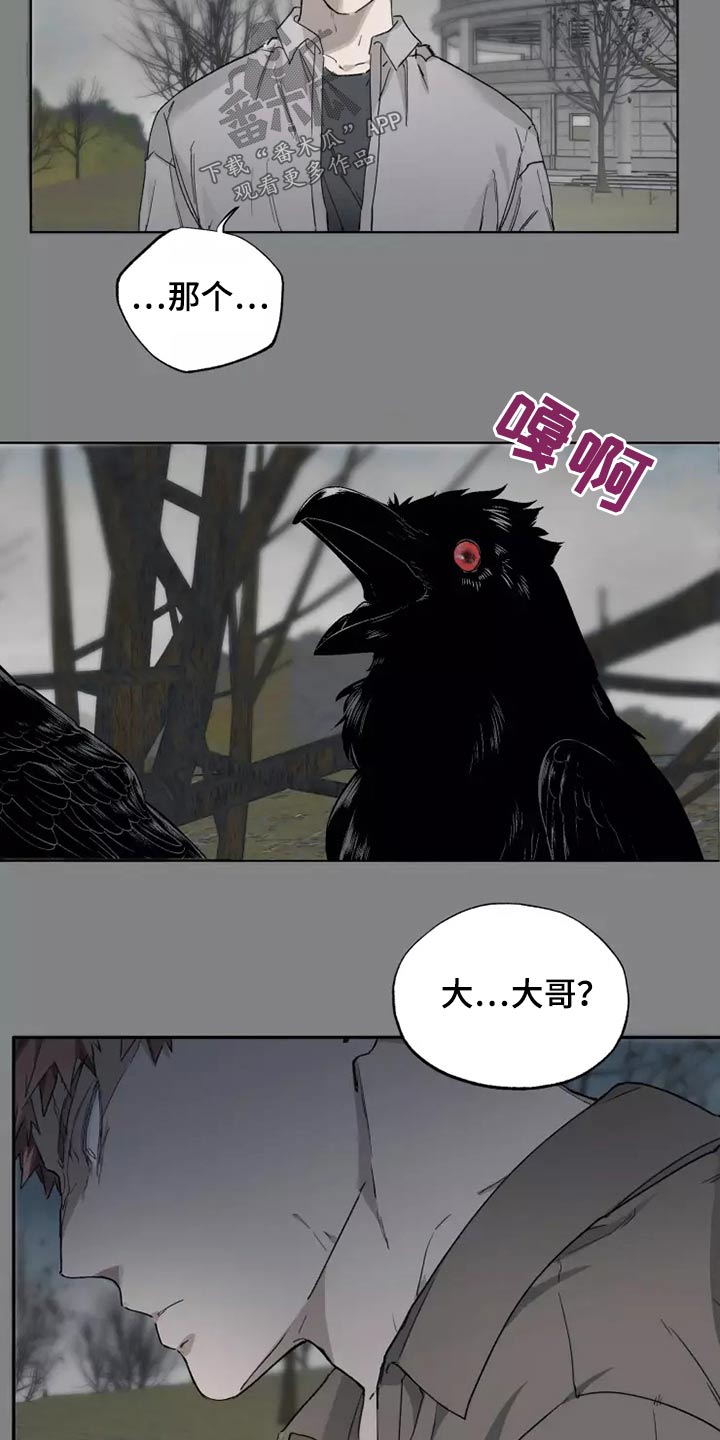 《极道之交》漫画最新章节第40章：打开看看免费下拉式在线观看章节第【7】张图片