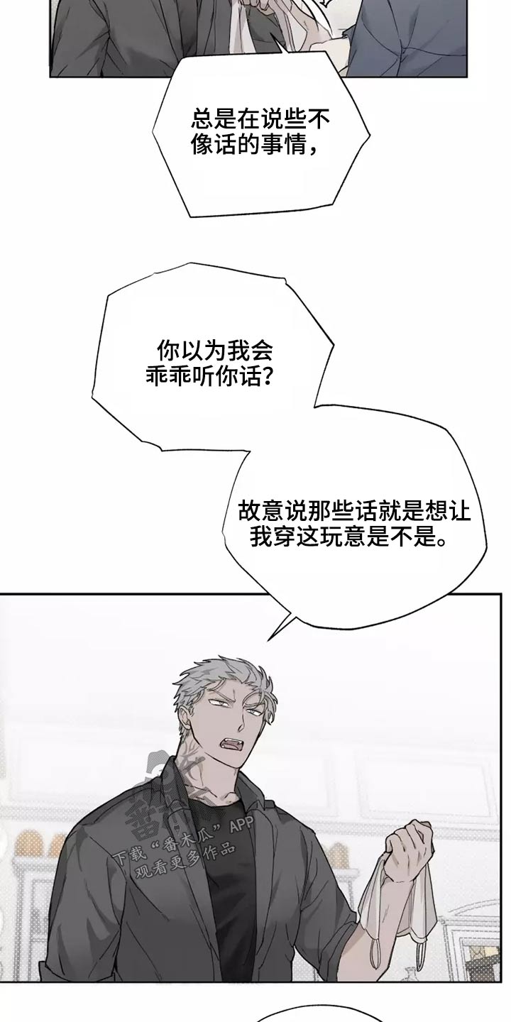 《极道之交》漫画最新章节第41章：穿上免费下拉式在线观看章节第【17】张图片