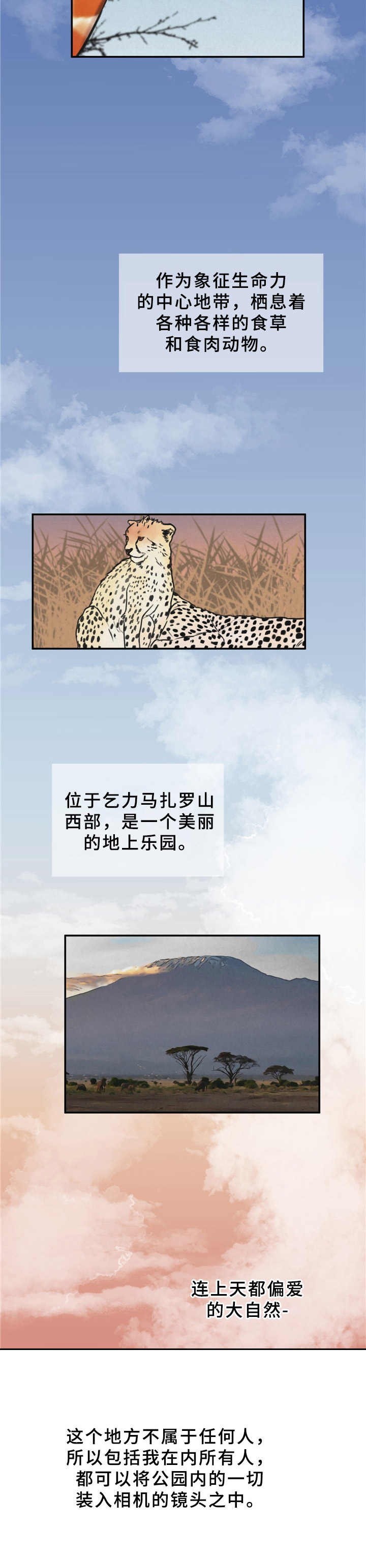 《野性之美》漫画最新章节第1章：摄影师免费下拉式在线观看章节第【3】张图片