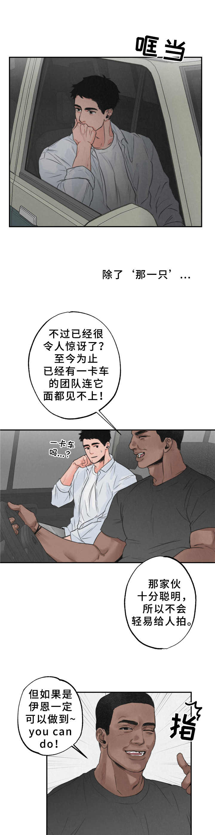 《野性之美》漫画最新章节第1章：摄影师免费下拉式在线观看章节第【2】张图片