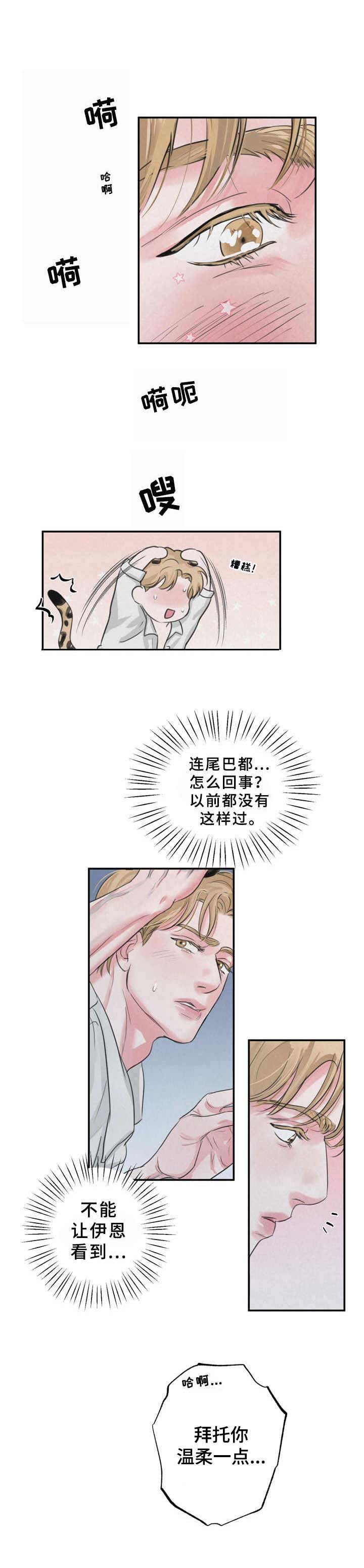 《野性之美》漫画最新章节第6章：心情变好免费下拉式在线观看章节第【4】张图片