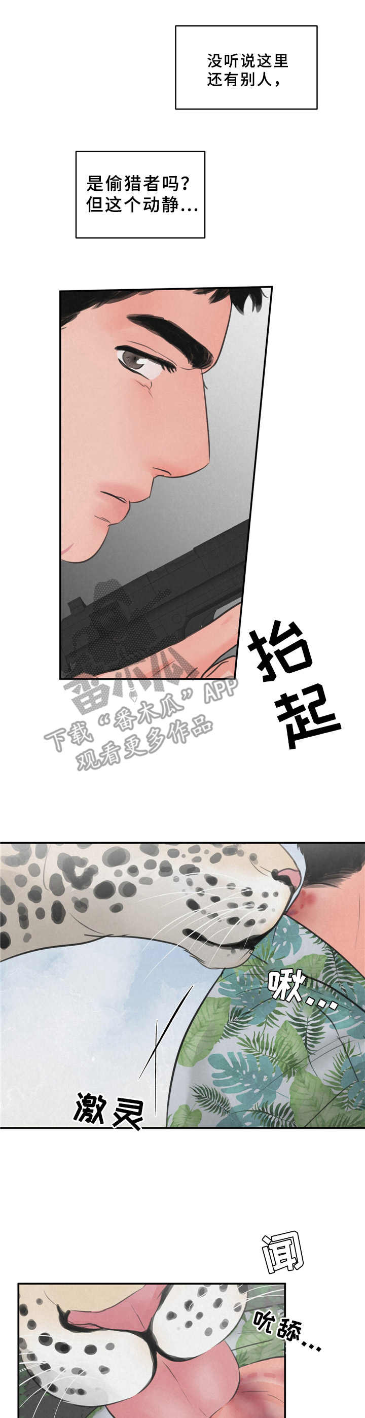 《野性之美》漫画最新章节第8章：花豹免费下拉式在线观看章节第【4】张图片