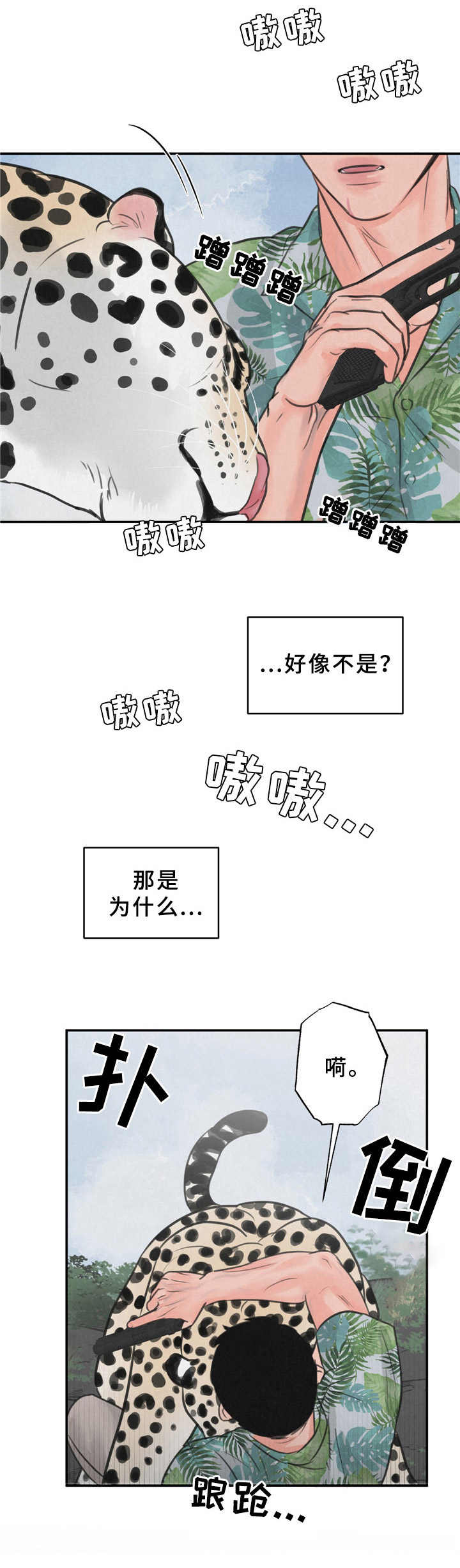 《野性之美》漫画最新章节第8章：花豹免费下拉式在线观看章节第【1】张图片