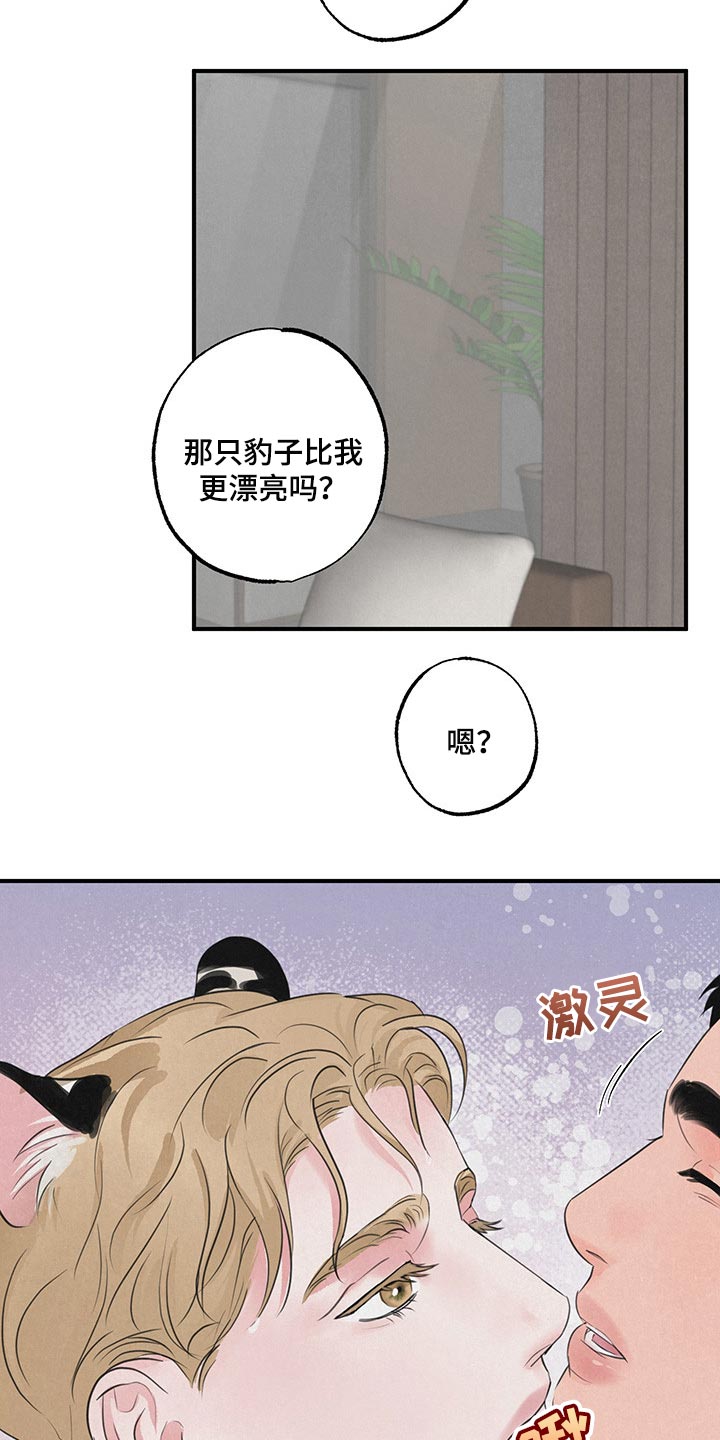 《野性之美》漫画最新章节第14章：【第二季】家人免费下拉式在线观看章节第【6】张图片