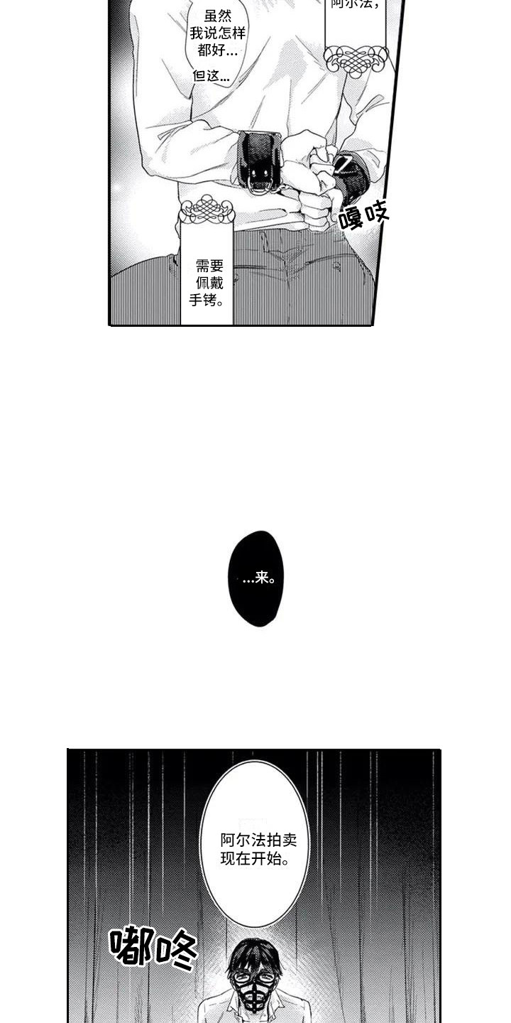 《阿尔法之犬》漫画最新章节第2章：俱乐部免费下拉式在线观看章节第【6】张图片