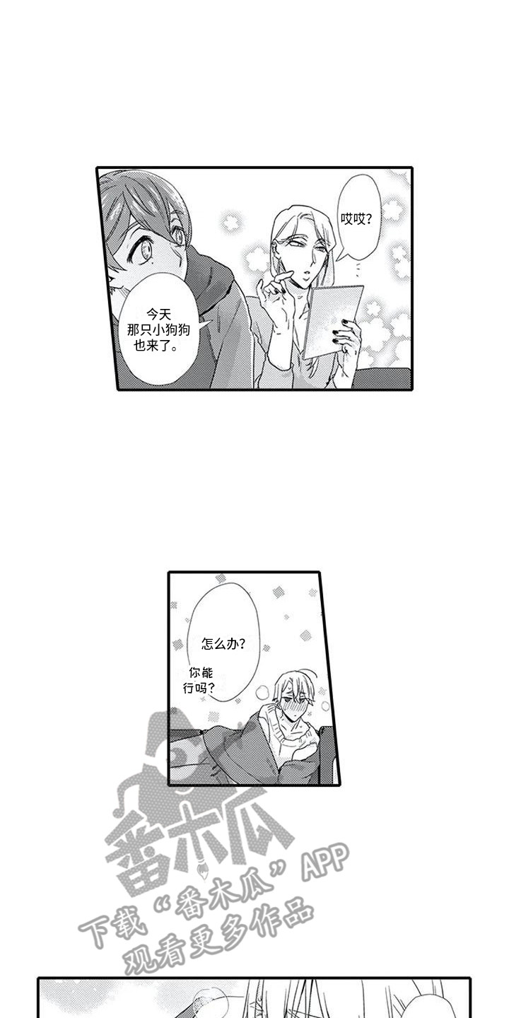 《阿尔法之犬》漫画最新章节第14章：生病了免费下拉式在线观看章节第【15】张图片