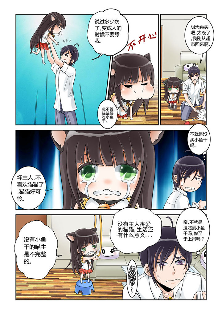 《吾家猫猫大人》漫画最新章节第1章：免费下拉式在线观看章节第【8】张图片