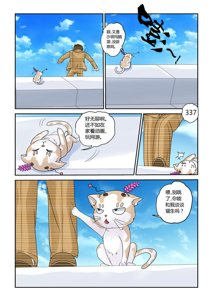 吾家猫猫大人-第4章：猫猫丢了吗全彩韩漫标签