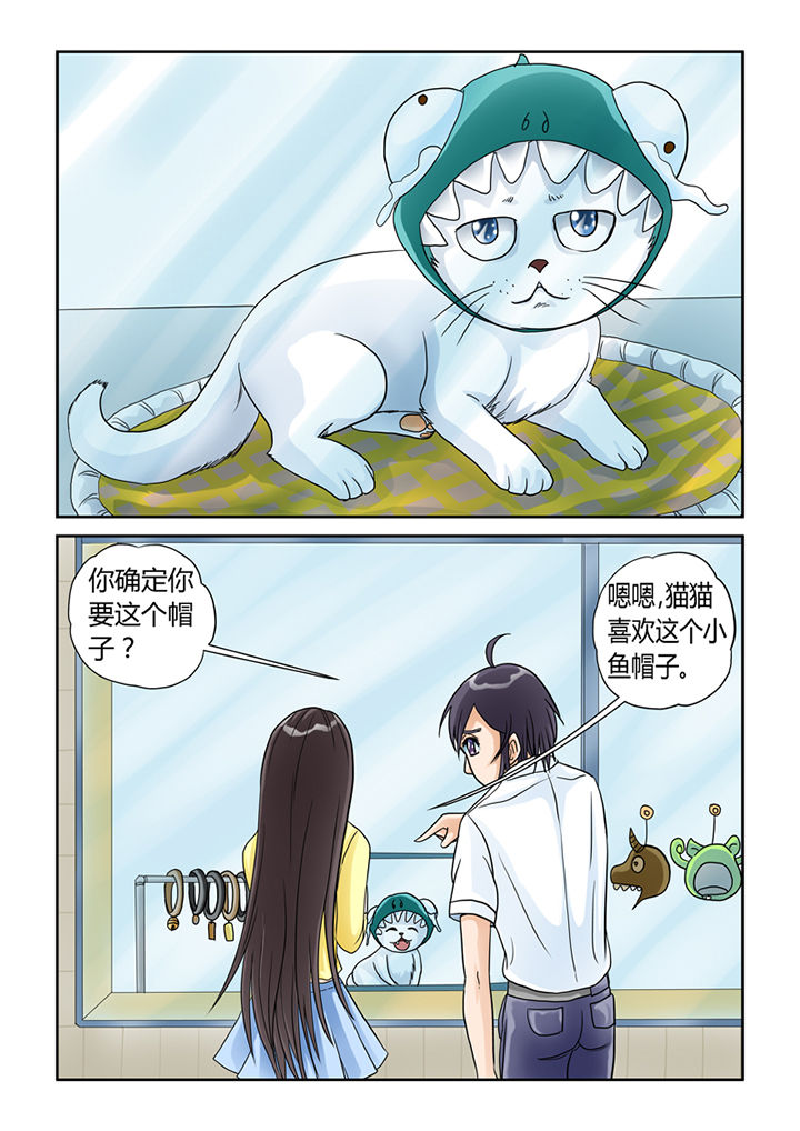 《吾家猫猫大人》漫画最新章节第5章：买买买免费下拉式在线观看章节第【6】张图片