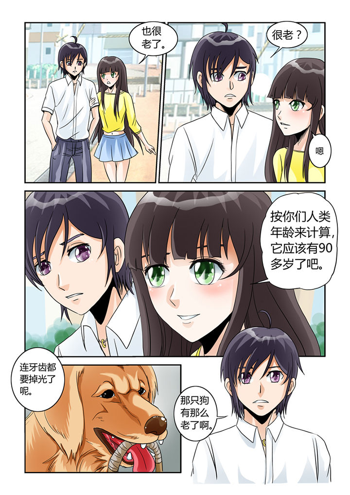 《吾家猫猫大人》漫画最新章节第5章：买买买免费下拉式在线观看章节第【11】张图片