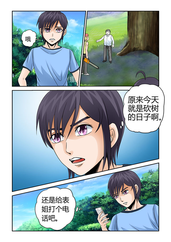 《吾家猫猫大人》漫画最新章节第7章：初起风澜免费下拉式在线观看章节第【4】张图片