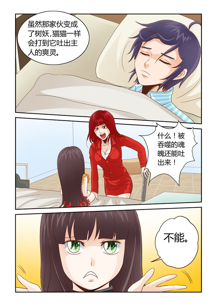 《吾家猫猫大人》漫画最新章节第9章：借来的爽灵免费下拉式在线观看章节第【12】张图片