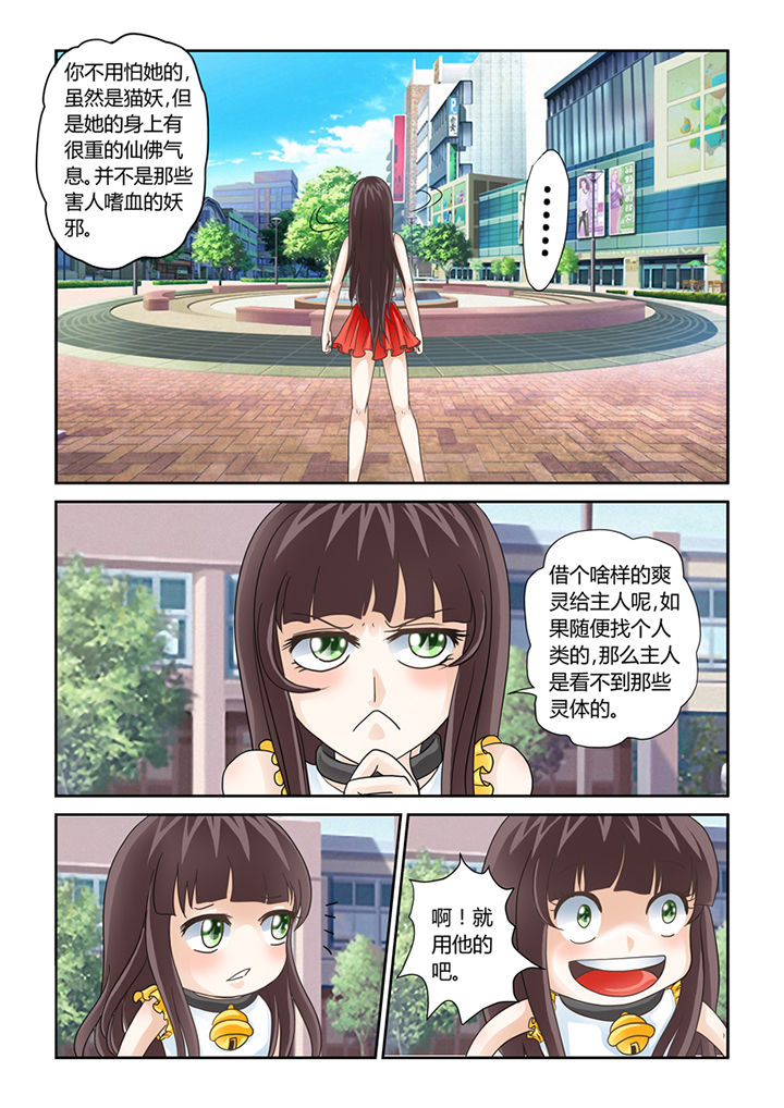 《吾家猫猫大人》漫画最新章节第9章：借来的爽灵免费下拉式在线观看章节第【5】张图片