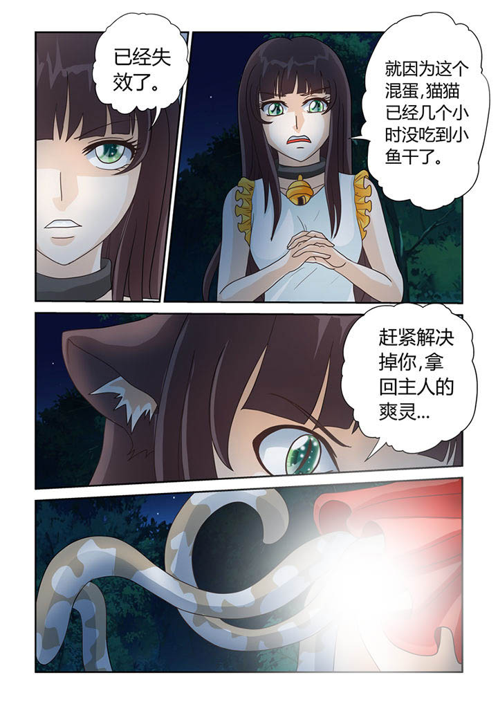 《吾家猫猫大人》漫画最新章节第11章：树妖免费下拉式在线观看章节第【10】张图片