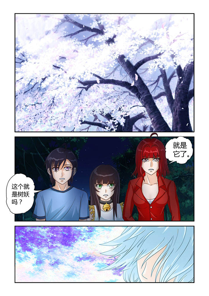 《吾家猫猫大人》漫画最新章节第11章：树妖免费下拉式在线观看章节第【13】张图片