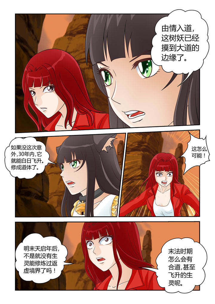 《吾家猫猫大人》漫画最新章节第15章：奢望而已免费下拉式在线观看章节第【3】张图片