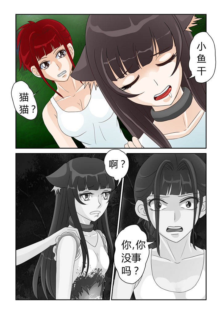 《吾家猫猫大人》漫画最新章节第18章：苦海无涯回头是岸免费下拉式在线观看章节第【3】张图片