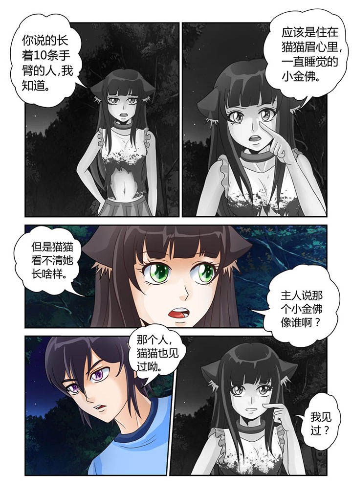 《吾家猫猫大人》漫画最新章节第19章：明心见性免费下拉式在线观看章节第【12】张图片