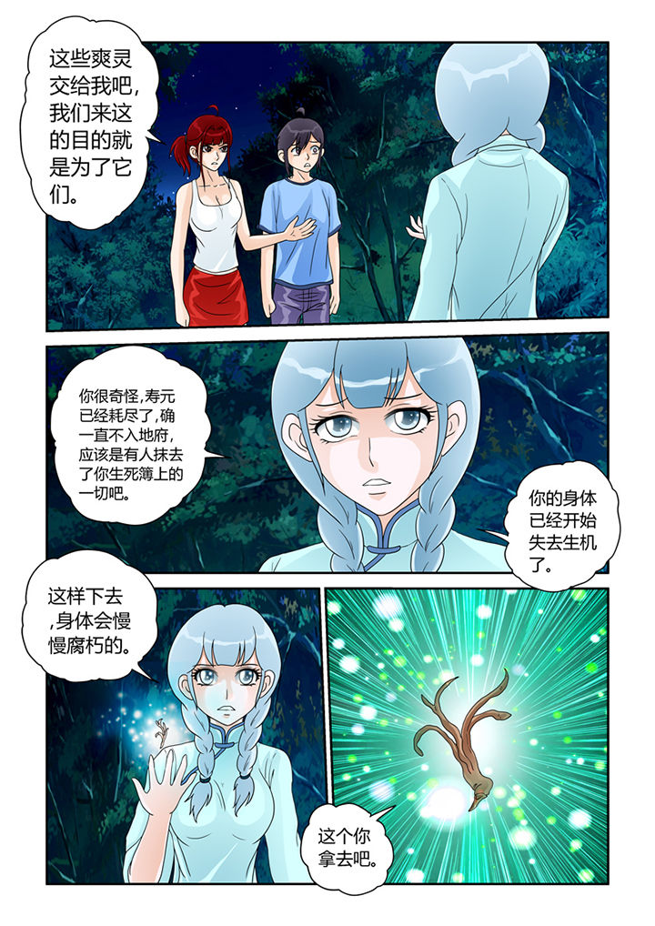 《吾家猫猫大人》漫画最新章节第21章：树妖的馈赠免费下拉式在线观看章节第【15】张图片