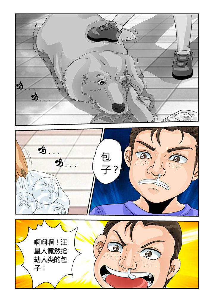 《吾家猫猫大人》漫画最新章节第25章：烙印免费下拉式在线观看章节第【3】张图片