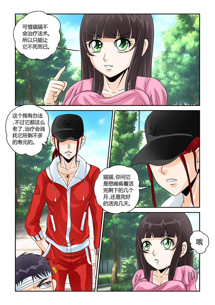 《吾家猫猫大人》漫画最新章节第29章：怜悯免费下拉式在线观看章节第【12】张图片