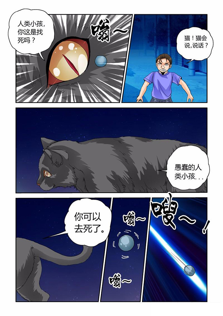 《吾家猫猫大人》漫画最新章节第31章：业报免费下拉式在线观看章节第【5】张图片