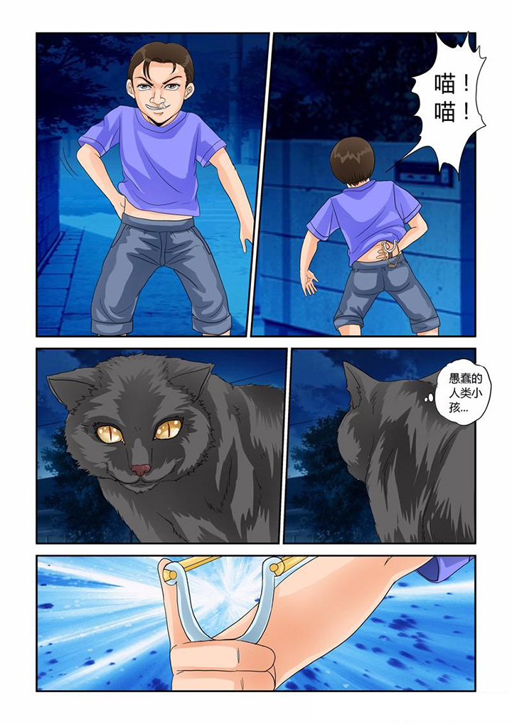 《吾家猫猫大人》漫画最新章节第31章：业报免费下拉式在线观看章节第【8】张图片