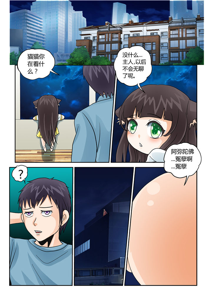 《吾家猫猫大人》漫画最新章节第34章：学习外挂免费下拉式在线观看章节第【1】张图片