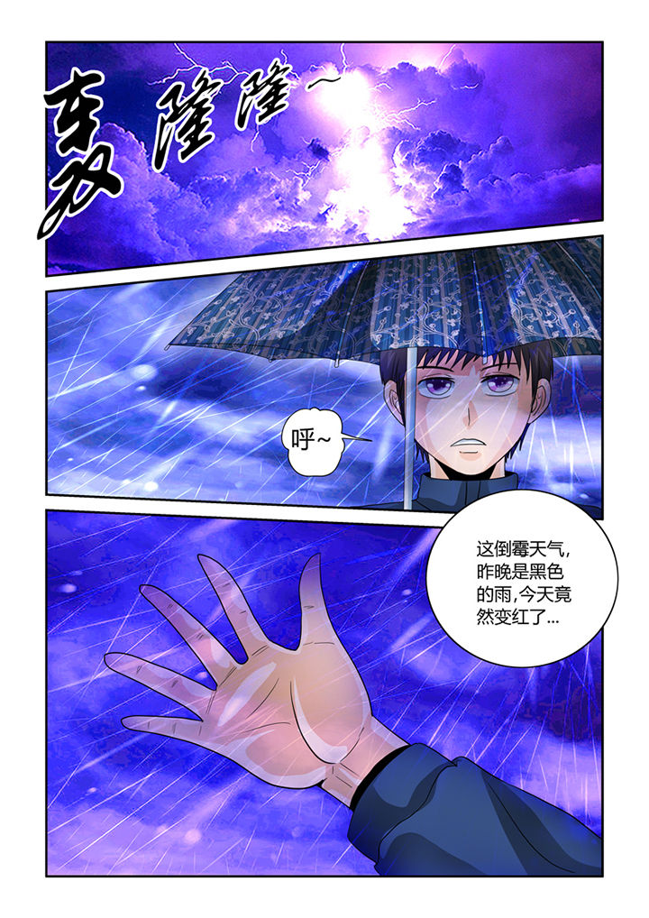 《吾家猫猫大人》漫画最新章节第35章：血雨免费下拉式在线观看章节第【9】张图片