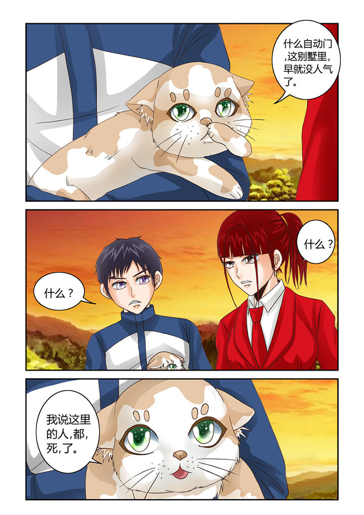 《吾家猫猫大人》漫画最新章节第43章：凶宅免费下拉式在线观看章节第【11】张图片