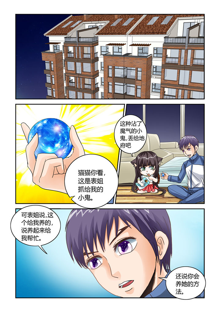 《吾家猫猫大人》漫画最新章节第45章：养鬼免费下拉式在线观看章节第【4】张图片